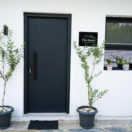 Landsted Psili Ammos Loft In Tolón